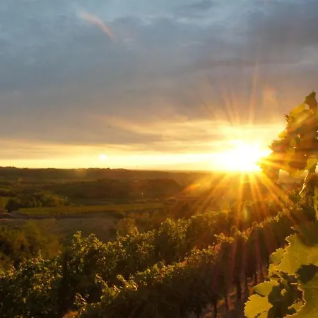 カントリーハウス Ronchi Di Sant'egidio *